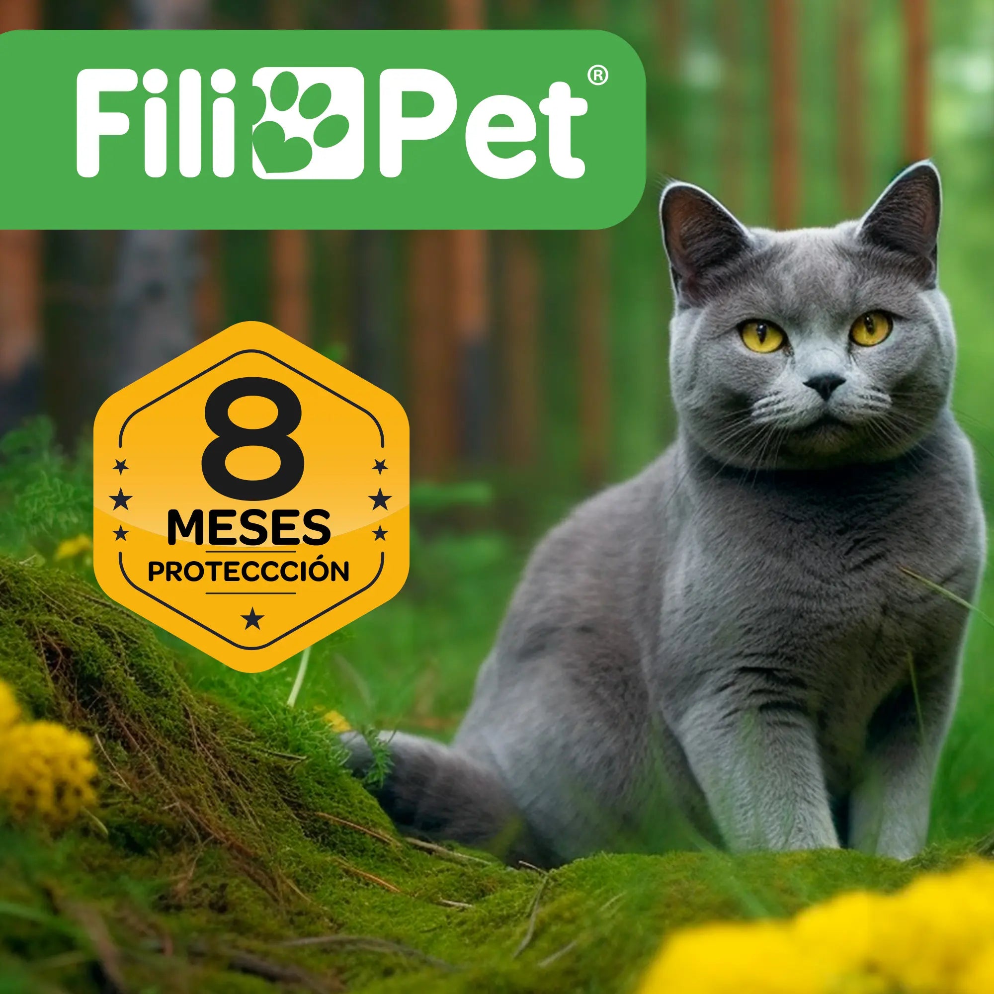 Collar Antiparásito Gato (Pack 2 unidades)