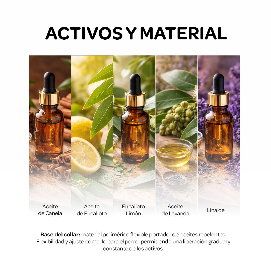 Aceites naturales utilizados en el collar antiparasitario para perros FilioPet como canela, eucalipto limón, lavanda y linaloe.
