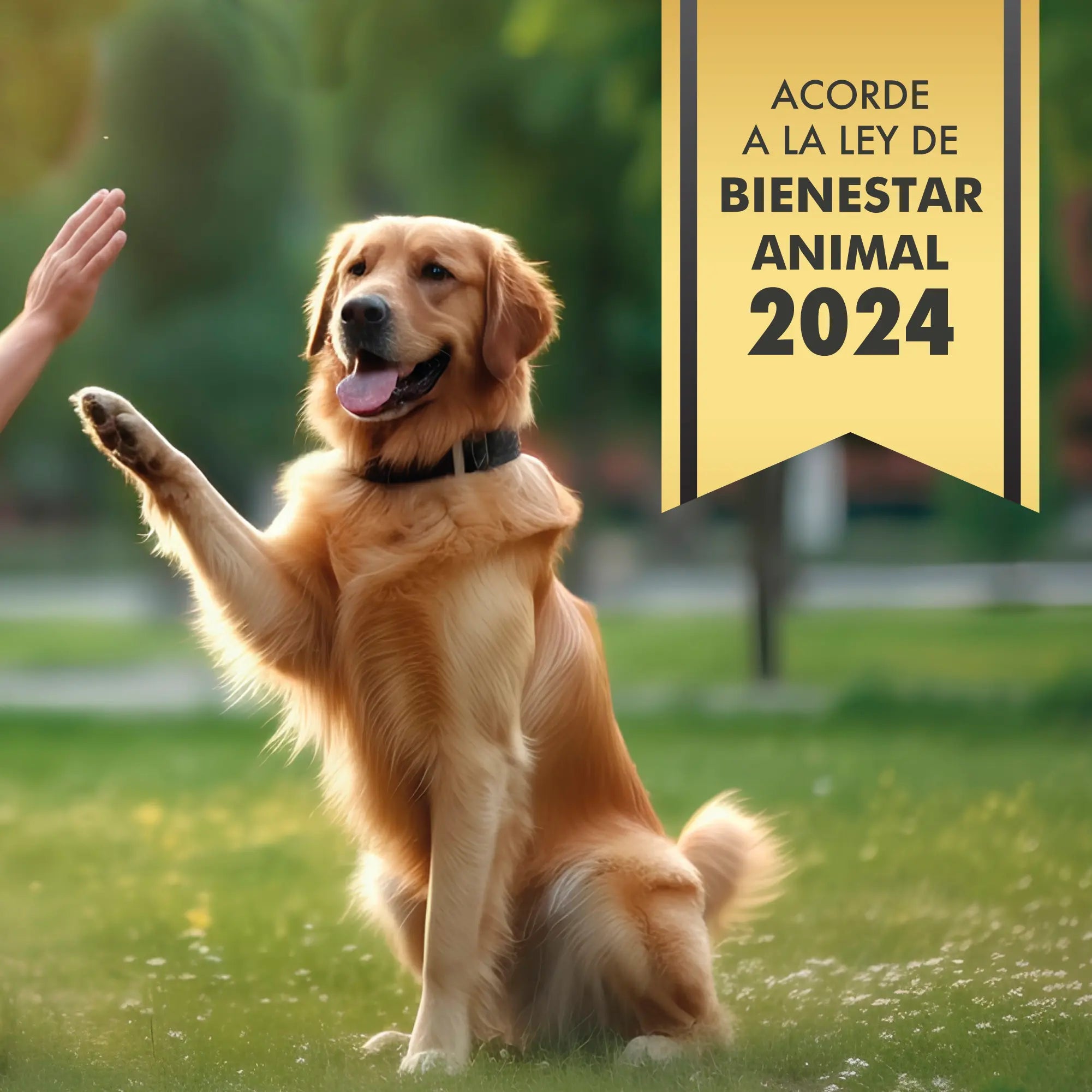 Collar Adiestramiento y Antiladridos para Perros