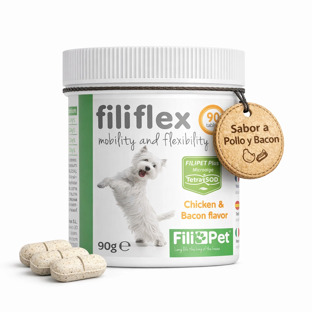 Suplemento para articulaciones de perros Filiflex con glucosamina, condroitina, colágeno y ácido hialurónico. Condroprotector para mejorar movilidad y flexibilidad en perros activos o mayores.