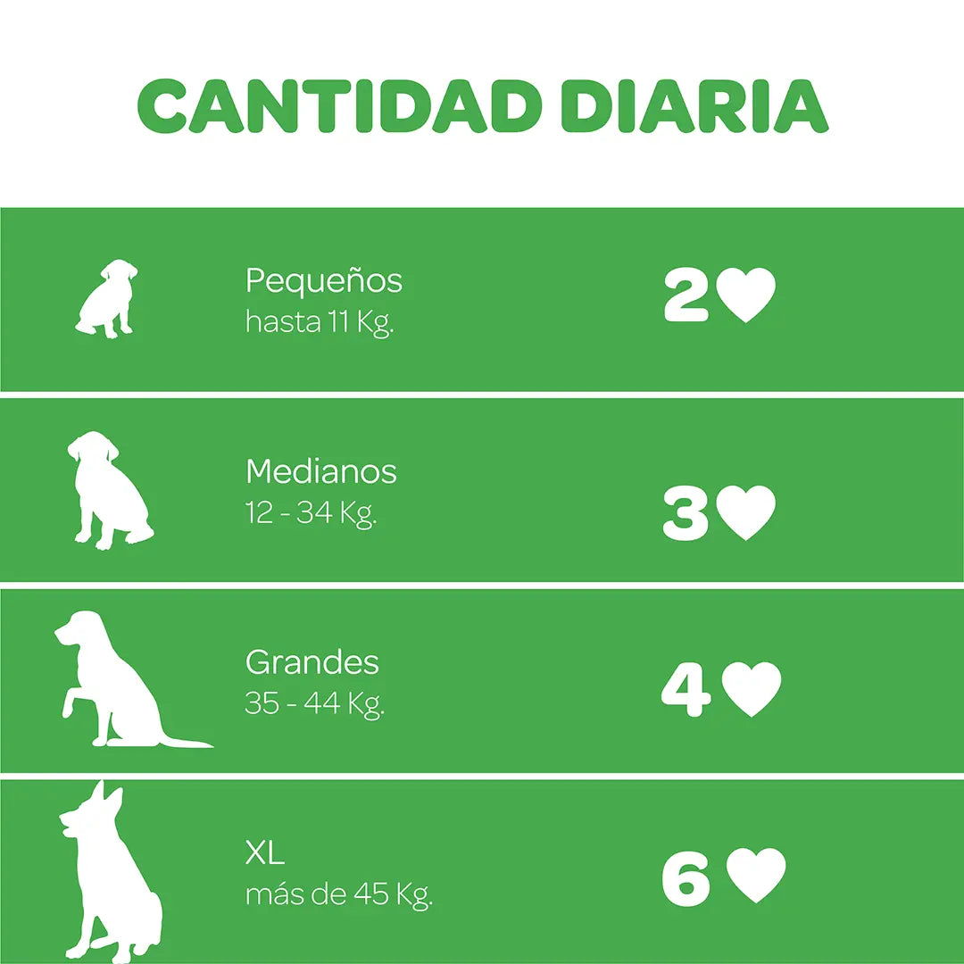 Multivitaminico para perros