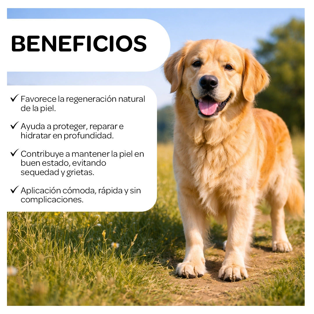 Perro feliz en el campo con piel hidratada mostrando los beneficios del bálsamo para almohadillas y hocico