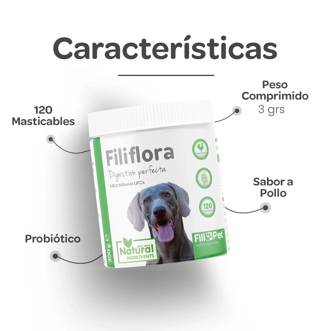  Características del suplemento digestivo Filiflora para perros con probióticos, vitaminas y masticables sabor pollo