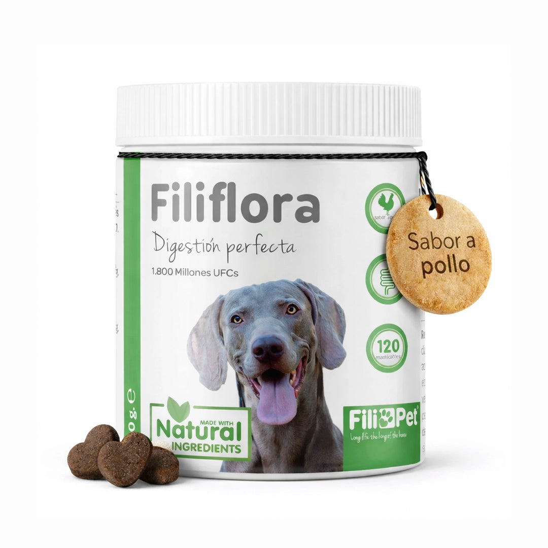 Bote de Filiflora suplemento digestivo para perros con probióticos, vitaminas y enzimas digestivas sabor pollo con masticables en forma de corazón