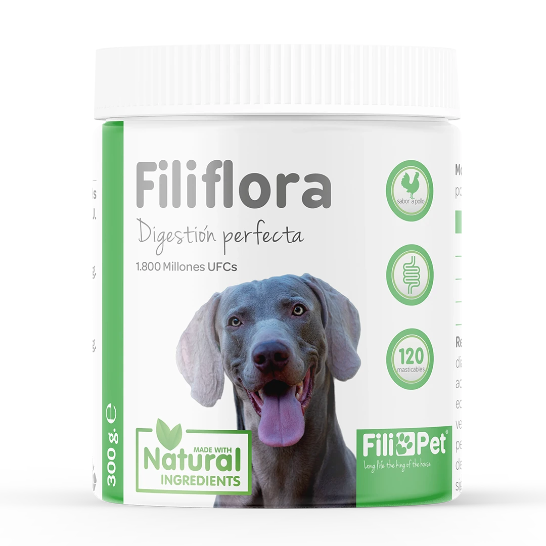 Bote del suplemento digestivo Filiflora para perros con probióticos y vitaminas