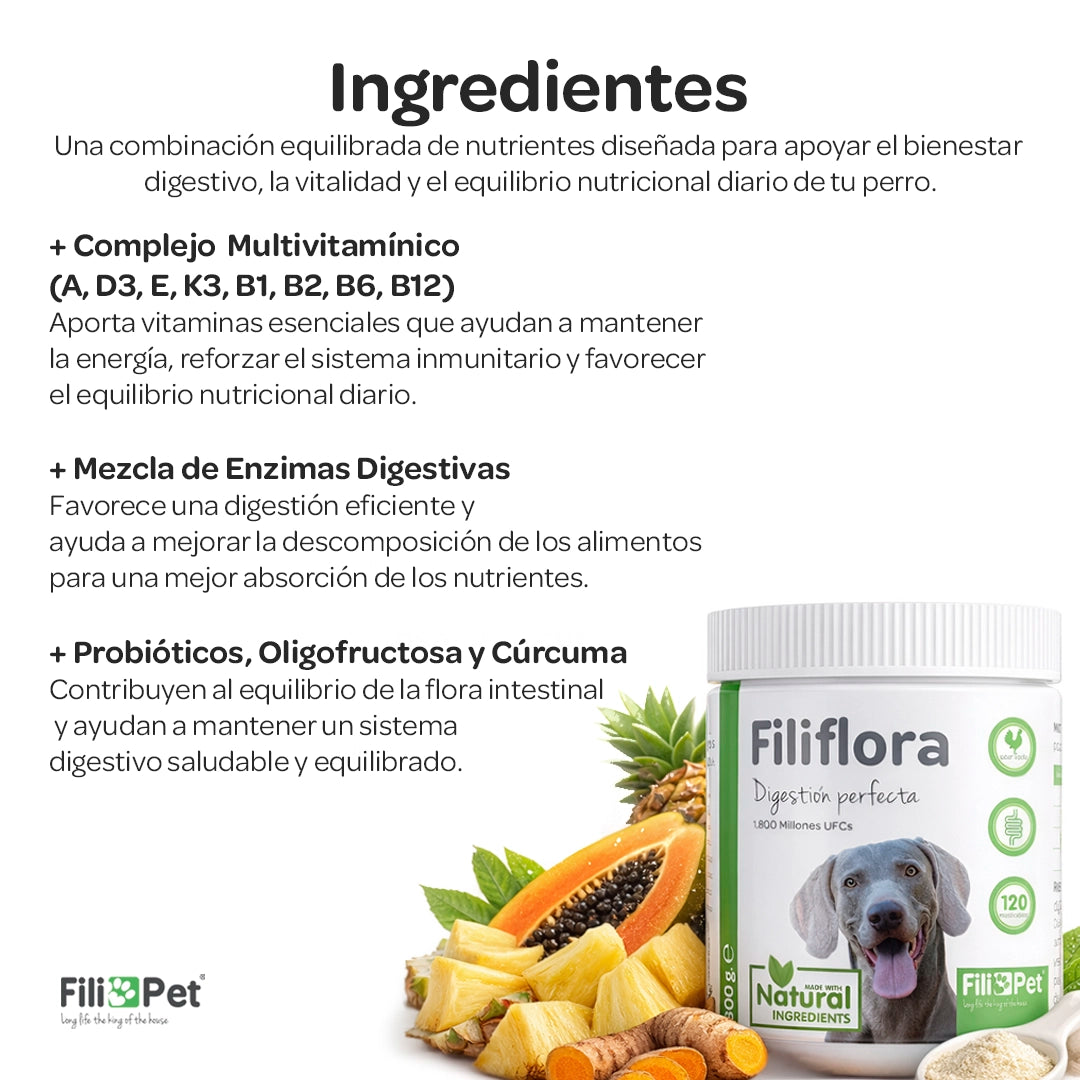 Ingredientes naturales del suplemento digestivo para perros Filiflora con vitaminas, enzimas digestivas, probióticos y cúrcuma
