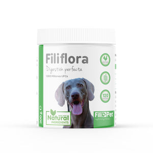 Filiflora Probiótico para perros