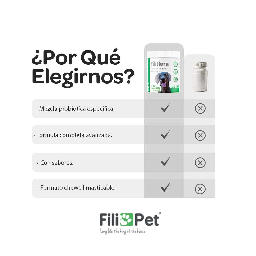 Comparativa de beneficios del suplemento digestivo para perros Filiflora con probióticos y vitaminas
