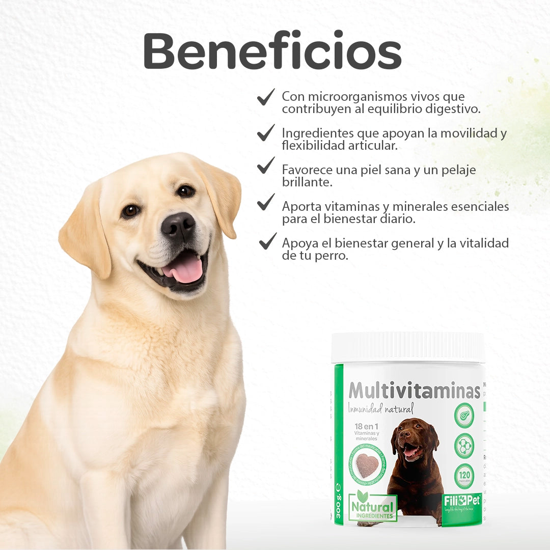 Multivitamínico para perros que contribuye a la digestión, movilidad articular, piel sana y pelaje brillante, suplemento completo para el bienestar diario del perro.