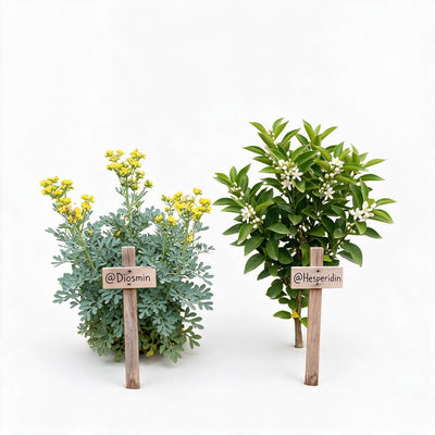 Hesperidina y Diosmina