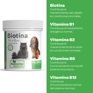 Biotina para perros y gatos